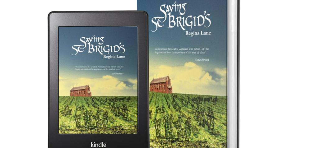 Saving St Brigid's book cover