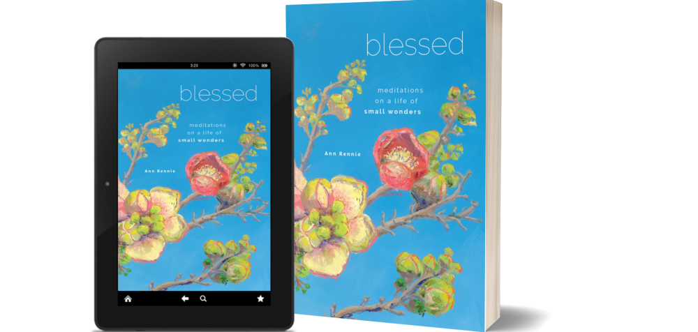 Blessed: Meditations on a Life of Small Wonders book cover